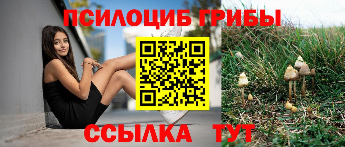 Галлюциногенные грибы ЛСД Мичуринск